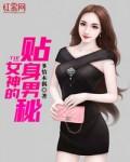 女神的贴身男秘秦烈免费阅读