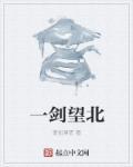 一剑朝天无弹窗全文阅读