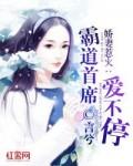 总裁别惹我