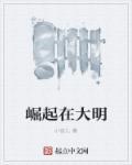 大明崛起之1624