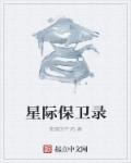 星际公民保卫站点