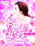 腹黑总裁的小娇妻笔趣阁