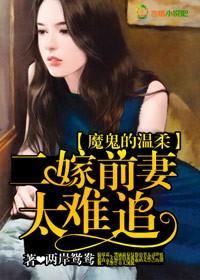 二嫁豪门前妻才是心尖宠