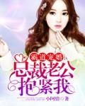 霸道宠婚总裁老公抱紧我 小阿情
