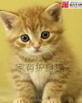 仙家护身的感觉