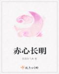 赤心长明是什么意思