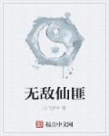 无敌仙婿百科