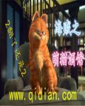 海贼王之猫