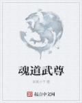 武魂尊者
