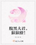 腹黑夫君狂宠妻