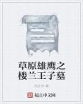 楼兰王子的名字