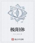 极阳体制