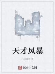 天才风暴是哪一年写的