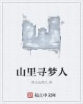 香港的寻梦人 电视剧