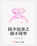 陆少追妻成瘾