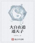 大自在天是第几层天