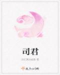 司君战澜