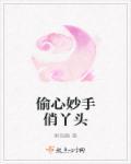 偷心俏冤家