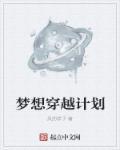 穿越计划手机汉化版