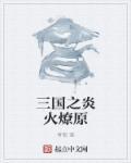 三国之炎朝霸业