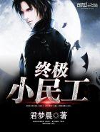 终极小民工陆风免费TXT