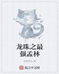 龙珠之最强孟林泡泡在哪里看