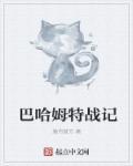 巴哈姆特战记游戏