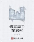 修真高手在乡村