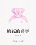 黄金剩女时代剧情介绍
