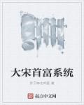 大宋首富全文阅读