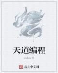 天道程序员