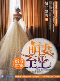蜜婚萌妻入侵