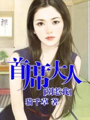 少将大人别惹我正版