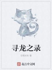寻龙记ⅱ