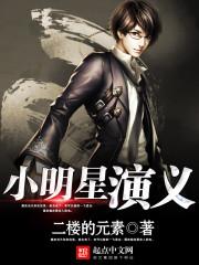 小明星演义txt百度