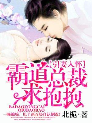 霸道总裁求抱抱原著