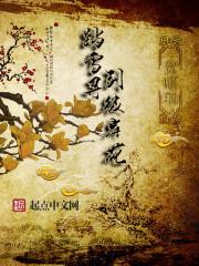 踏雪寻梅是谁的皮肤