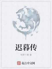 迟暮传 季羡林