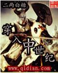 穿入中世纪修真
