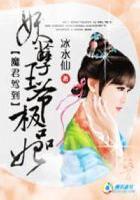 魔君嗜宠妖妃很逆天