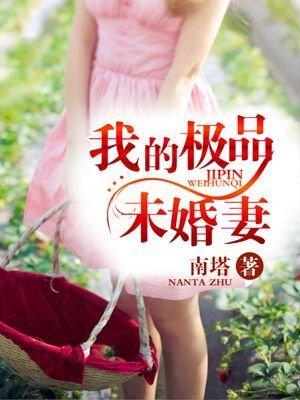 我的极品美女总裁未婚妻沈浪