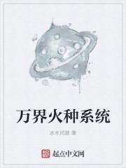 末日火种系统