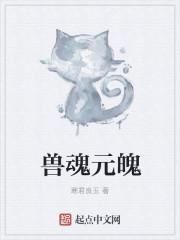 魂兽什么意思