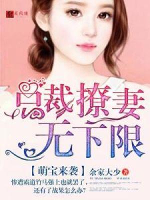 萌宝来袭总裁追妻套路深