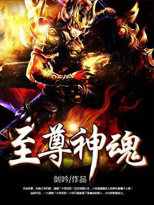 至尊神魂 全文阅读