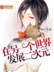 高质量二次元