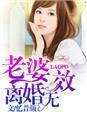 老婆离婚无效苏婉年