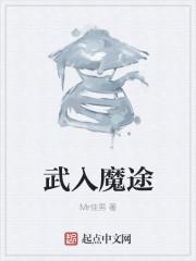 武入魔途顶点