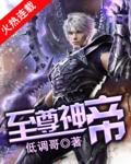 至尊神帝免费阅读