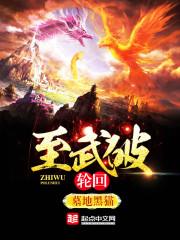 天武轮回